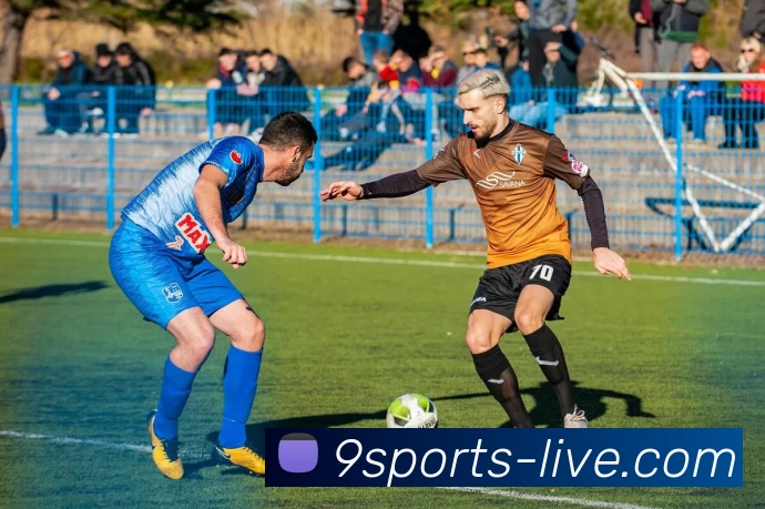 九体育直播品牌故事