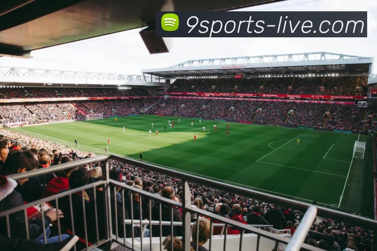 九体育直播服务体系